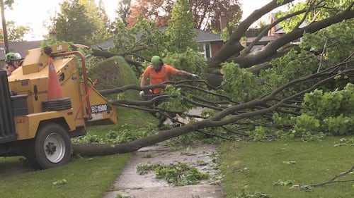 Storm damage throughout London and surrounding area following tornado warnings