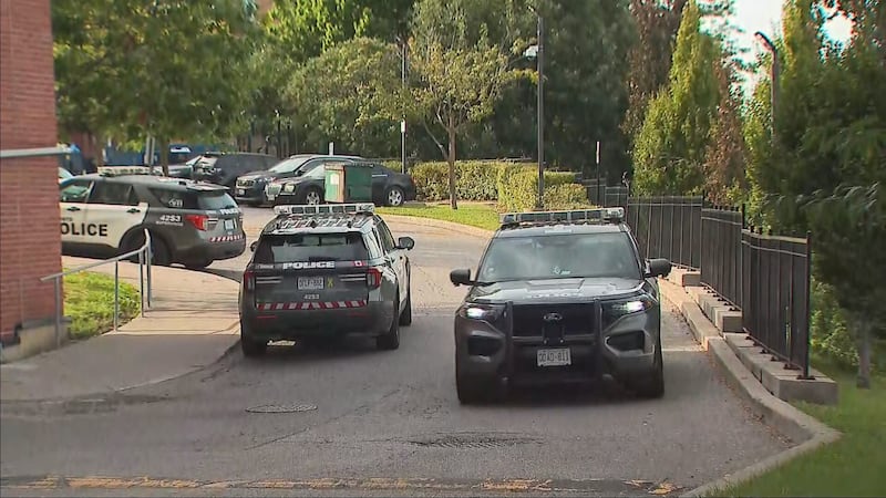 Man stabbed in Scarborough; suspect in custody