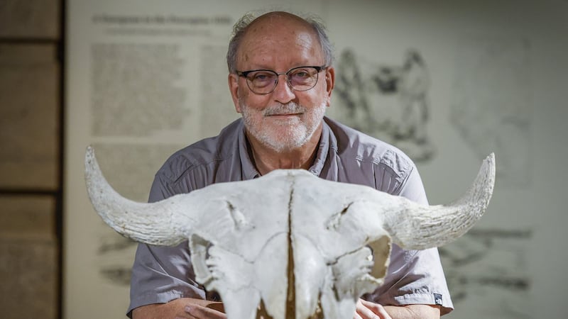 'The perfect trap': Archeologist reflects on decades at Head-Smashed-In Buffalo Jump