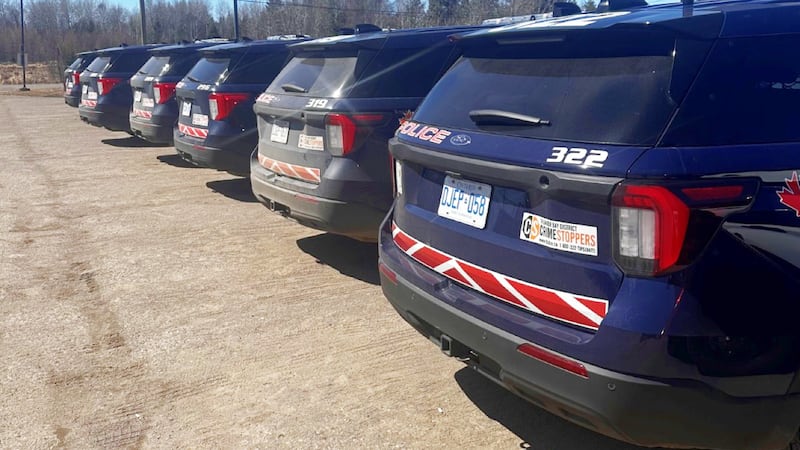 Thunder Bay police seize $90K in cash and drugs