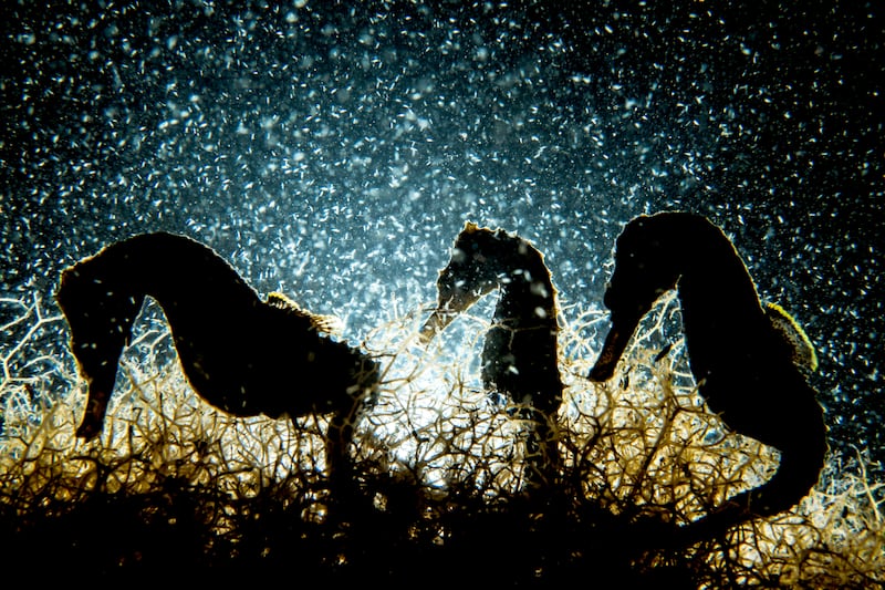 Sask. photographer featured on cover of National Geographic
