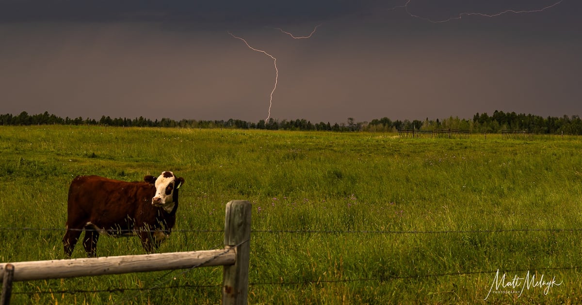Calgary weather: cold, rainy weather to continue Wednesday and Thursday