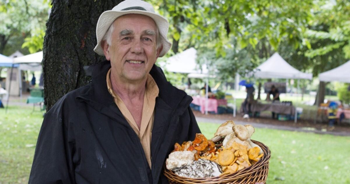 Chefs Foraging Foraging for delicacies becoming more popular among chefs