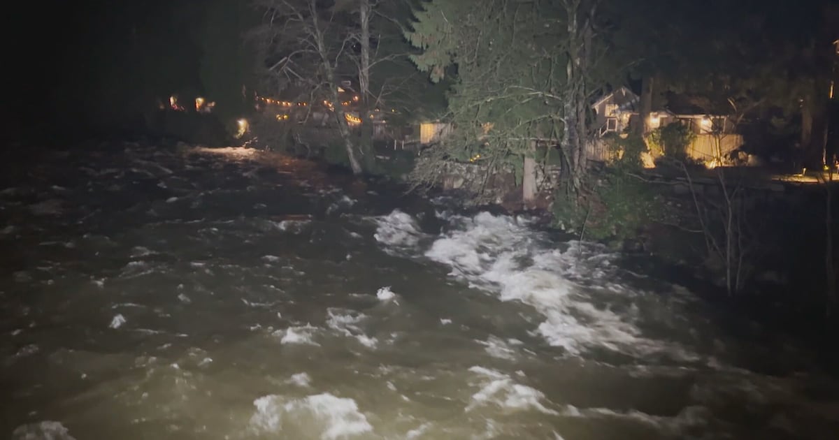 Heavy rain raises flooding concerns on North Shore as Seymour River runs high