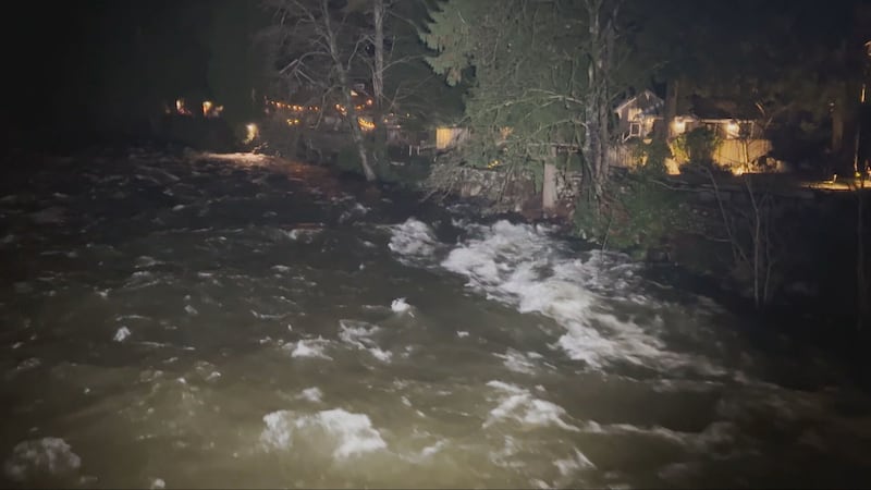 Heavy rain raises flooding concerns on North Shore as Seymour River runs high