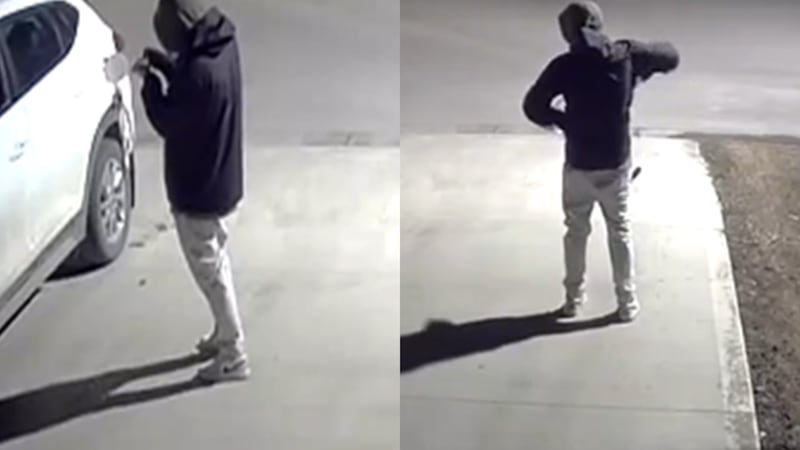 Regina police searching for arson suspect: Crime Stoppers