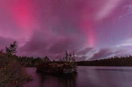 The northern lights are seen in Aspotogan, N.S., on Nov. 11, 2025. (Submitted: Barry Burgess)