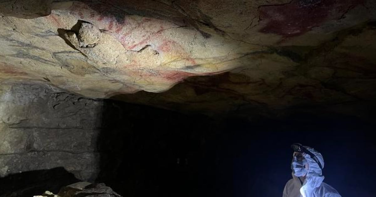Human DNA can survive millennia on cave walls, new study finds