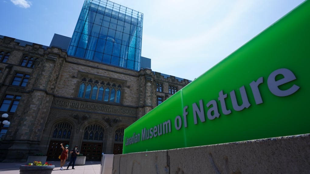Things to do in Ottawa for free this summer