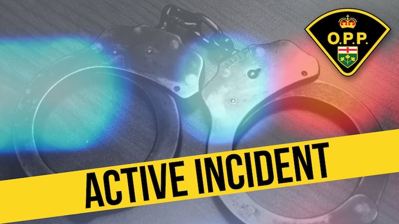 Homeowner injured in Thames Centre home invasion