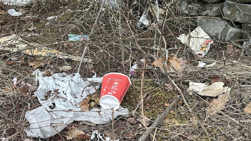 ‘There’s garbage everywhere’: N.S. group gathers 100 pounds of litter in Cole Harbour