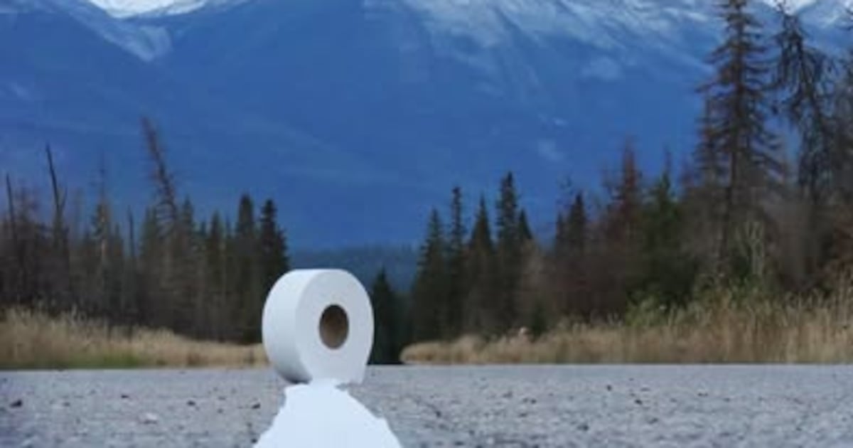 Measure Calgary Banff, Jasper National Parks measure summer traffic through toilet paper