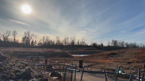 The Edmonton Valley Zoo announced a plan for the next 15 years. Nov. 24, 2025. (Sasha Pietramala/CTV News Edmonton)