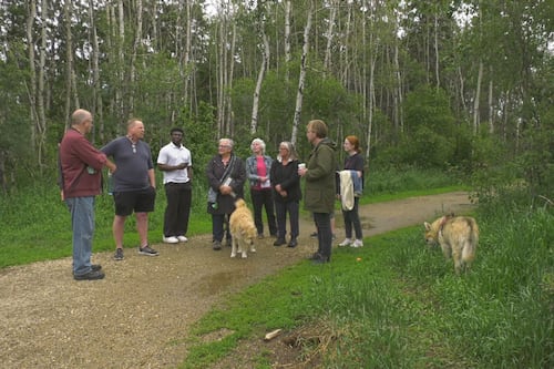 Concerns over west-end off-leash dog site aired to city councillor’s staff