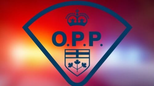 OPP charge three men in Wawa after theft in the Sault