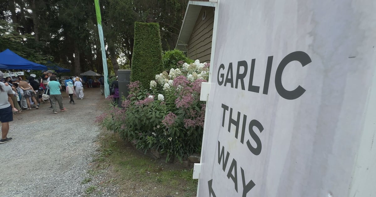 Thousands Attend Annual Richmond Garlic Festival