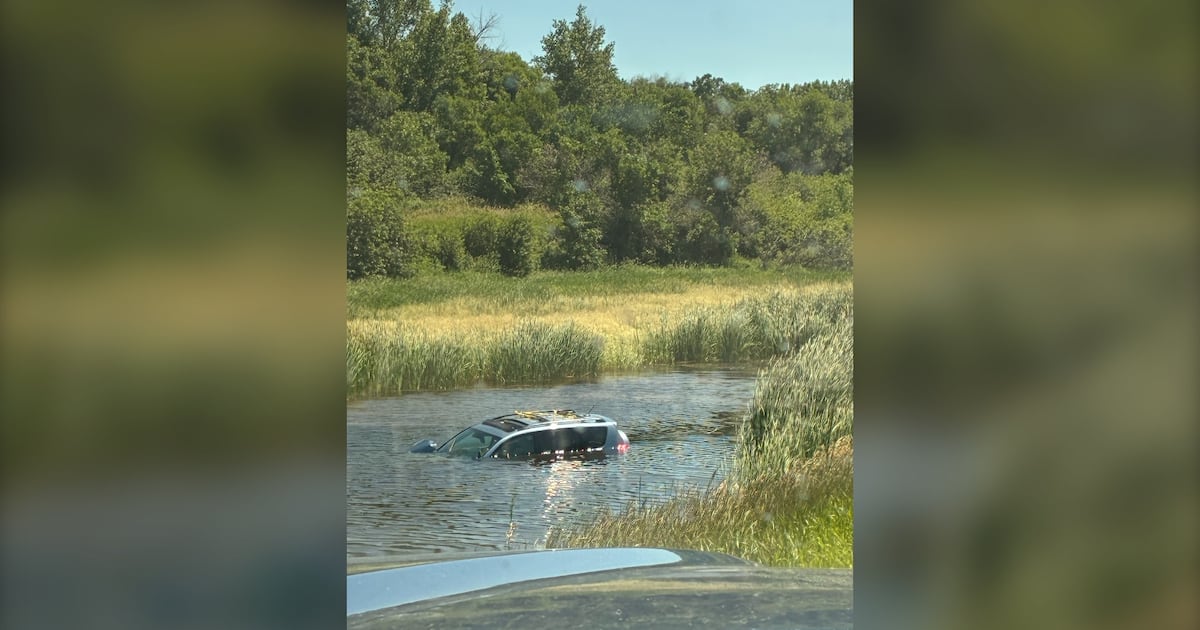 ‘Two angels': Regina duo hailed as heroes after saving woman, dog from sinking vehicle