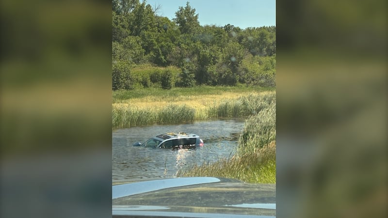 'Two angels': Woman feeling 'very lucky' after duo saves her and her dog from sinking vehicle