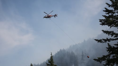 Five out of 14 wildfires burning in B.C. deemed out of control