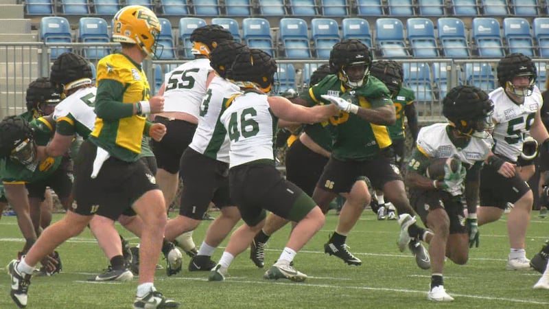 New offensive linemen making their mark at Elks training camp