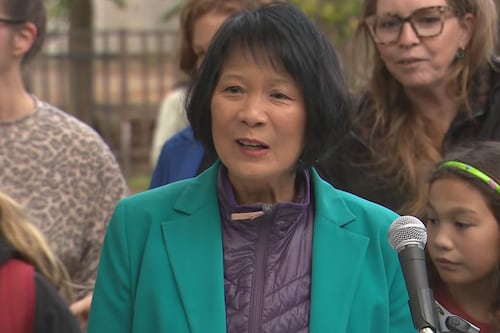 Chow promises to provide school lunches to all Toronto students