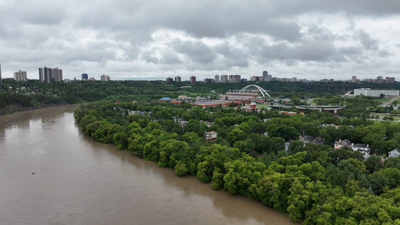 Edmonton to see spike in mosquitoes following period of heavy rain