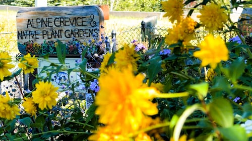 2026 marks the 20th anniversary of Calgary's Botanical Gardens of Silver Springs.