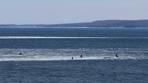 23 people saved from ice in Georgian Bay