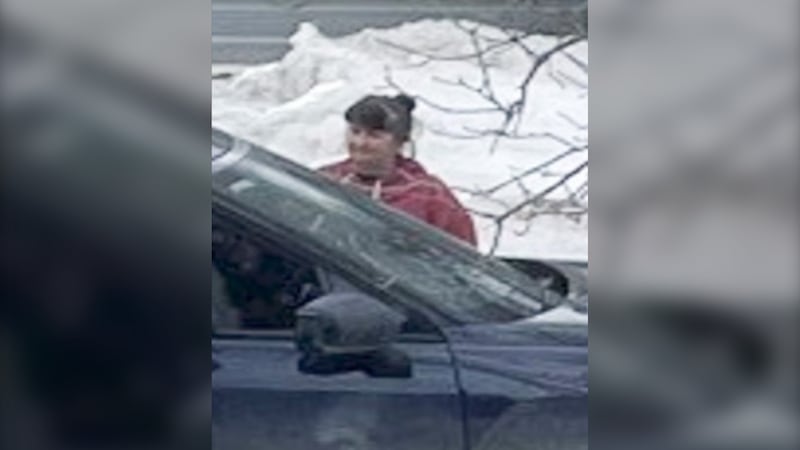 Woman posed as police officer to rob St. Vital home: police
