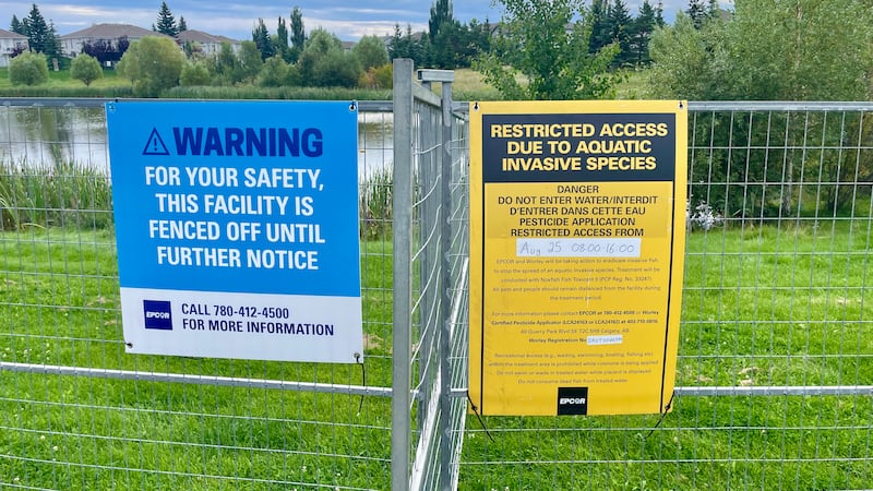 South Terwillegar storm ponds to be treated for invasive species