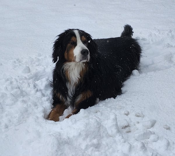 Calgary springing into warmer weather