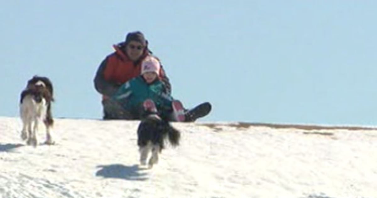Dog owners howl over proposed park changes