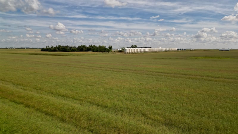 Province launches survey on Saskatchewan Farm Security Act