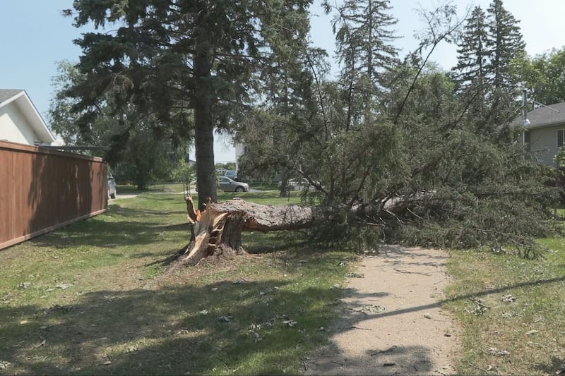 ‘People coming together’: MLA, community groups helping Winnipeg neighbourhood following power outage with food drive