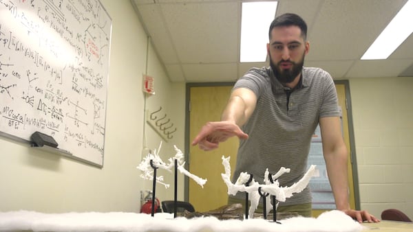 How preserved blood vessels found in Saskatchewan’s most famous T. rex are opening doors for researchers