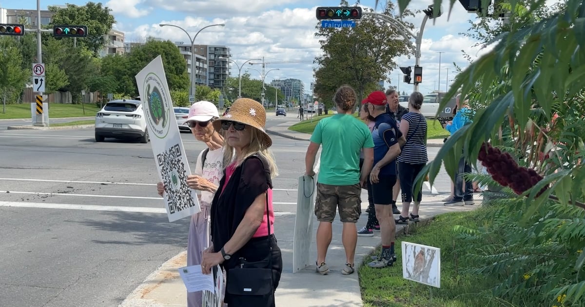 Montreal Residents Rally for 300th Weekend to Protect Fairview Forest