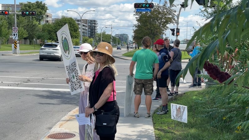 Montreal’s West Island continues to fight to protect Fairview Forest