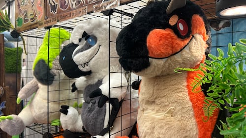 Plushies were a popular item at Animaritime in Fredericton. (Avery MacRae/CTV News)