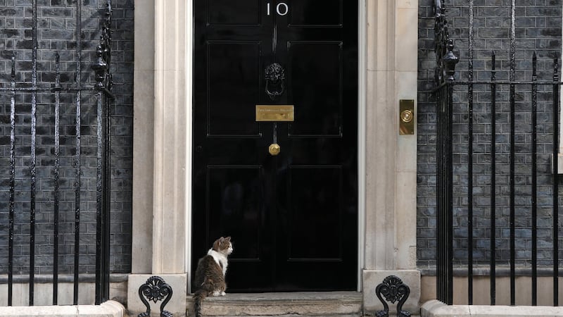 ‘Politicians come and go’: Larry the cat welcomes 7th U.K. prime minister