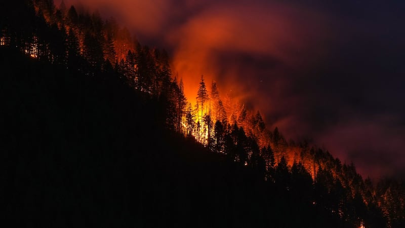 B.C. firefighters face critical days as dry fuels and winds increase fire risks