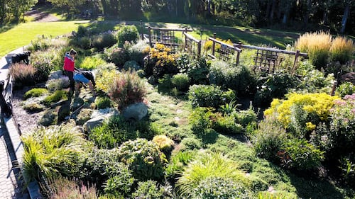 2026 marks the 20th anniversary of Calgary's Botanical Gardens of Silver Springs.