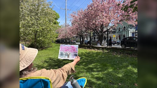 An artist admires their painting of cherry blossoms.