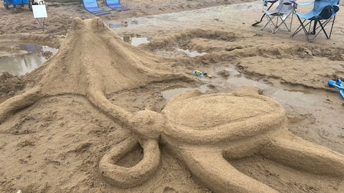 An octopus and sea turtle are pictured sculpted out of sand. (CTV/Avery MacRae)