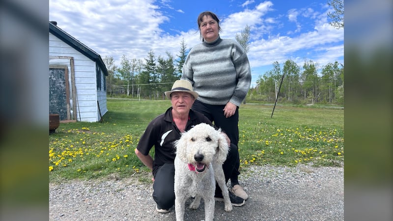 ‘She will not leave my sight’: N.S. dog stolen along with SUV reunited with owners