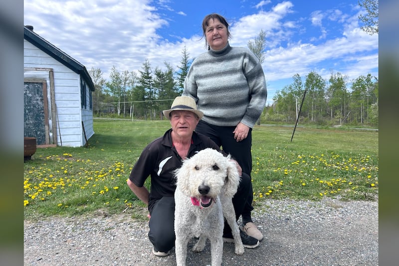 ‘She will not leave my sight’: N.S. dog stolen along with SUV reunited with owners