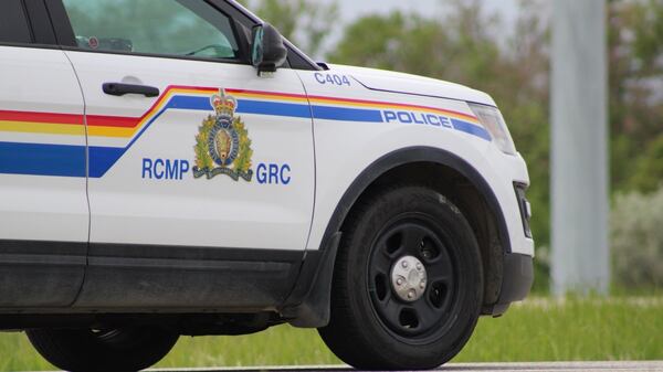 Sword, BB gun seized after traffic stop near Elrose, Sask.