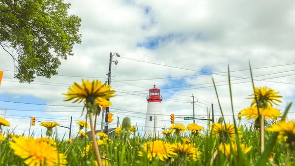 Cool, Cloudy Stretch with Showers for Windsor