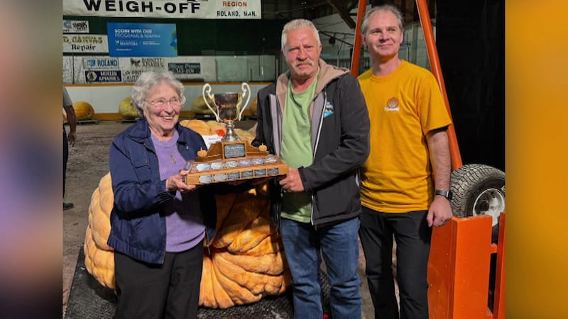 Giant pumpkin from RM of Stanley breaks Manitoba record