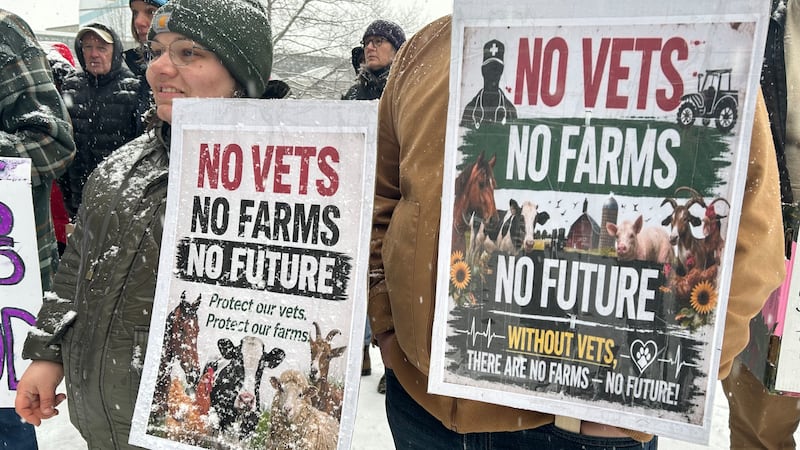 N.B. government extending vet services to next March after meeting Agricultural Alliance