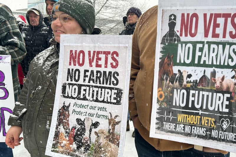 N.B. government extending vet services to next March after meeting Agricultural Alliance